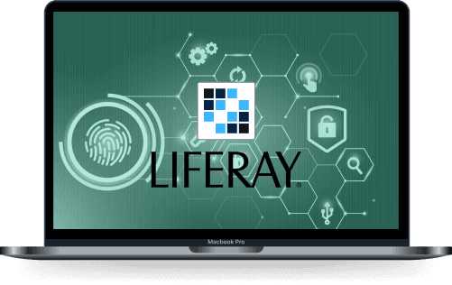 Our Liferay Developer